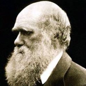 Charles Darwin のアバター