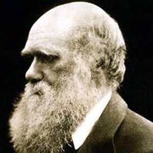 Avatar för Charles Darwin