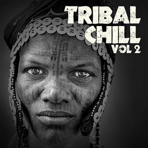 Tribal Chill, Vol. 2