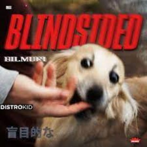 Blindsided - Single