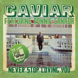 Never Stop Loving You (Digitally Remastered)