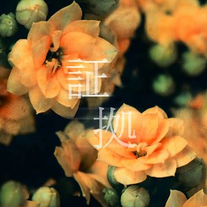 証拠