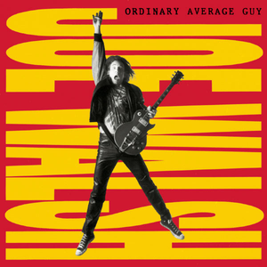 Ordinary Average Guy cover