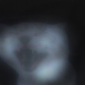 こん (demo)