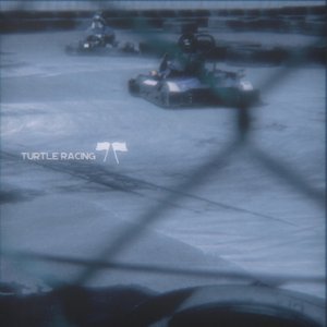 Turtle Racing