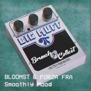 Smoothly Mood (feat. Francesco Balasso) - Single