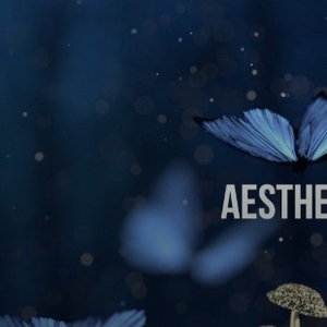 Аватар для Aesthetic Music