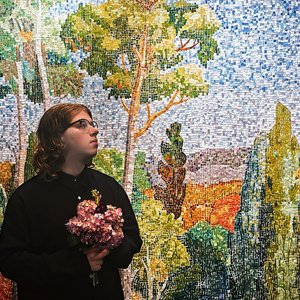 Avatar for Plastic Owl