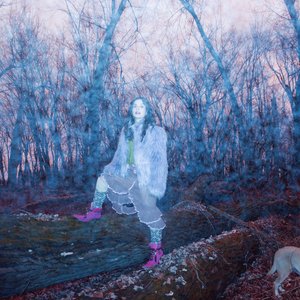 cartography of the rhizome