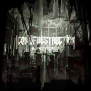 Icon of Destruction 的头像