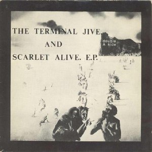 The Terminal Jive 的头像