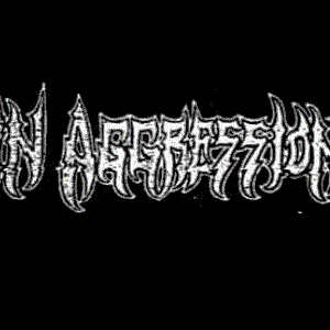 In Aggression 的头像