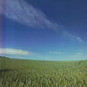 セカムの 的头像