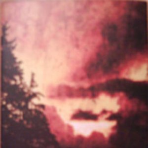 Forest Mysticism
