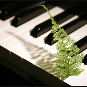 Avatar for Relaxing Piano