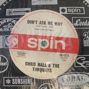 Avatar for Chris Hall & The Torquays