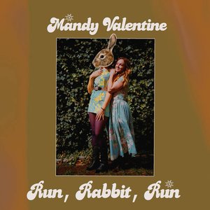 Run, Rabbit, Run
