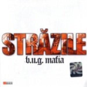 Image for 'Strazile'