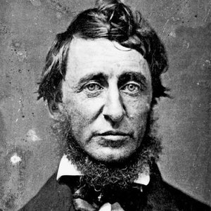 Avatar di Henry David Thoreau