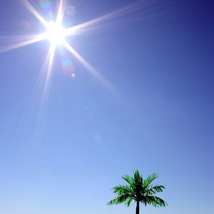 Image for 'Last Winter'