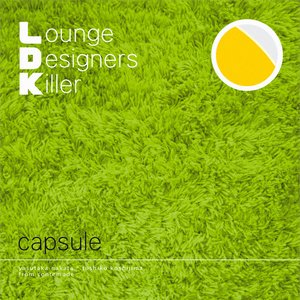 Image for 'L.D.K. Lounge Designers Killer'