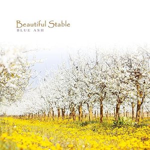 Beautiful Stable