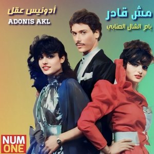 Mesh Ader