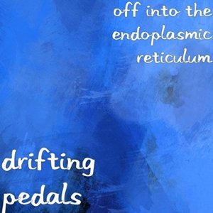 Off into the Endoplasmic Reticulum 的头像