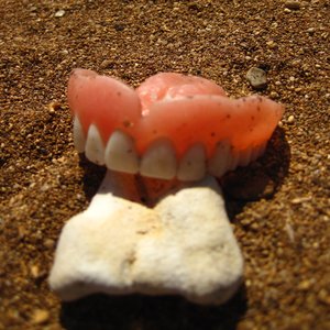 Avatar for Sounds of Terror!