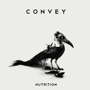 Nutrition - Single