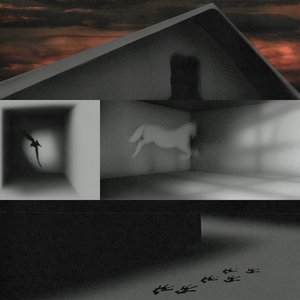 Reading Steiner - Single