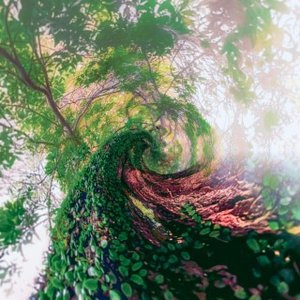 Tunnels