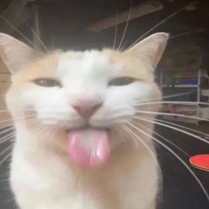 POSITIVE+ 的头像
