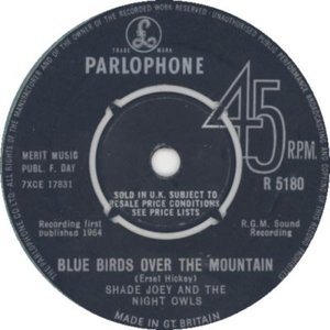 Shade Joey & The Night Owls 的头像