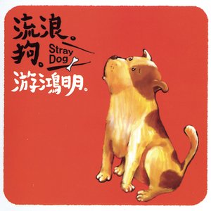 Stray Dog