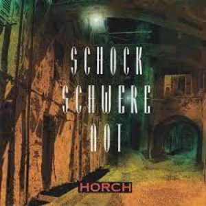 Schockschwerenot