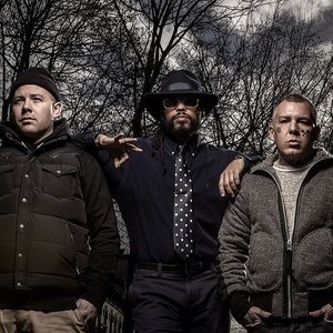 Avatar för Swollen Members