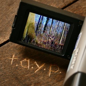 t.a.y.p. (acoustic)