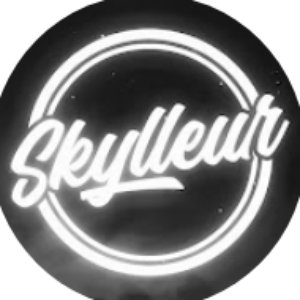 Skylleur 的头像