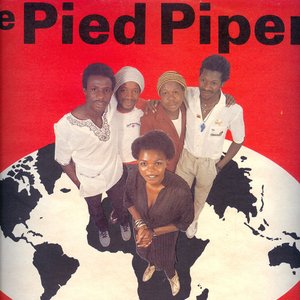 Pied Pipers 的头像