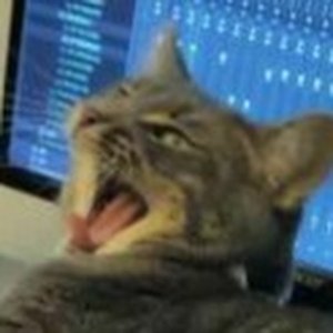 Avatar for MistyRockandRoll