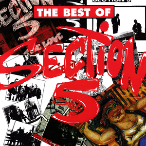 Section 5