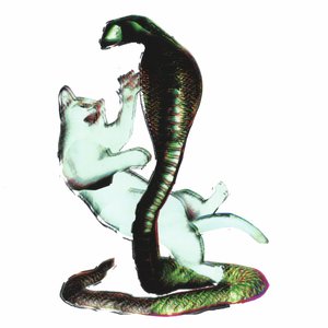 Cat and the Cobra