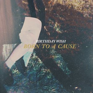 Image for 'Born To A Cause'