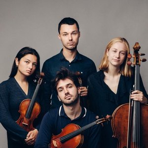 Novo quartet 的头像