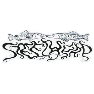 “STEELHEAD”的封面