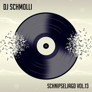 Schnipseljagd Vol.13