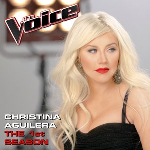 Bild för 'The Voice: The 1st Season'