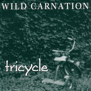 Wild Carnation photo provided by Last.fm