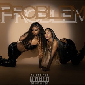 Problem